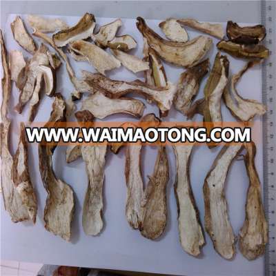 dehydrated porcini mushroom for export