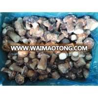 Suillus Granulatus frozen ifq porcini mushrooms Boletus edulis in carton