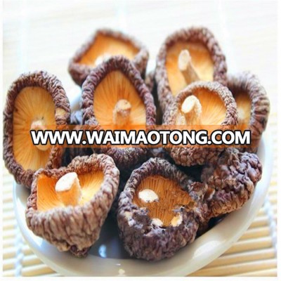 Asia edible fungi dried mushiroom in shiitake