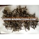 BLACK FUNGUS MUSHROOM