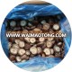 factory IQF frozen cap shiitake mushroom